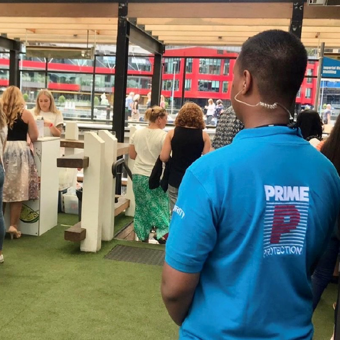 Prime-Web-ImageArtboard 25-100